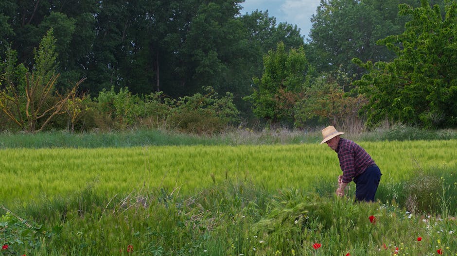 Community members gathered outdoors during a field activity