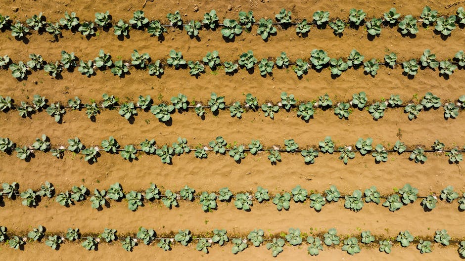 Volunteers and participants standing together outdoors