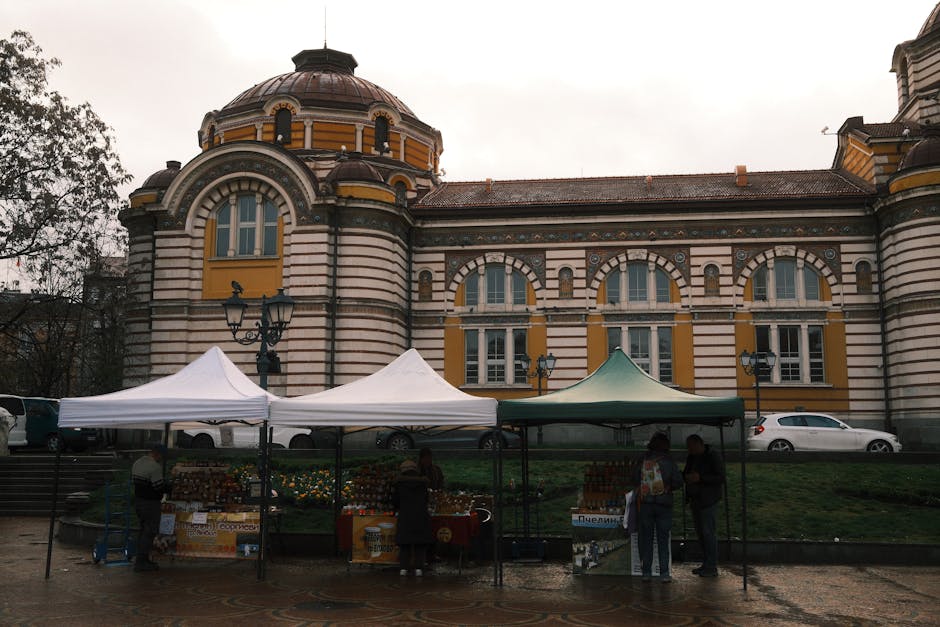 Agricultural landscape under changing light